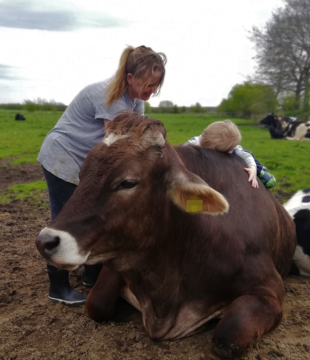 Foto der Galerie: Galerie