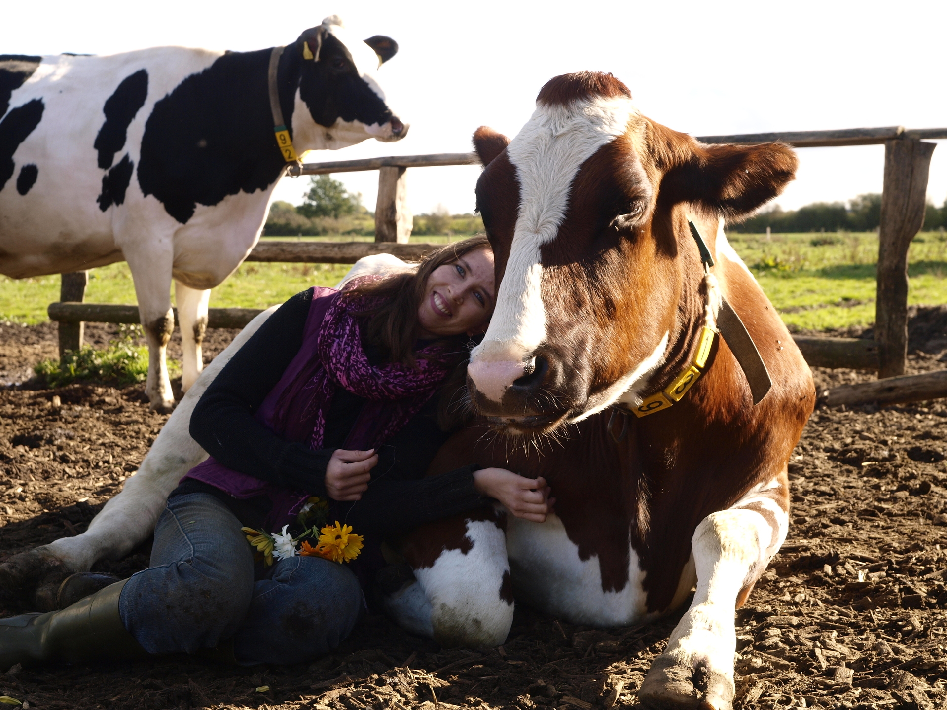 Foto der Galerie: Galerie