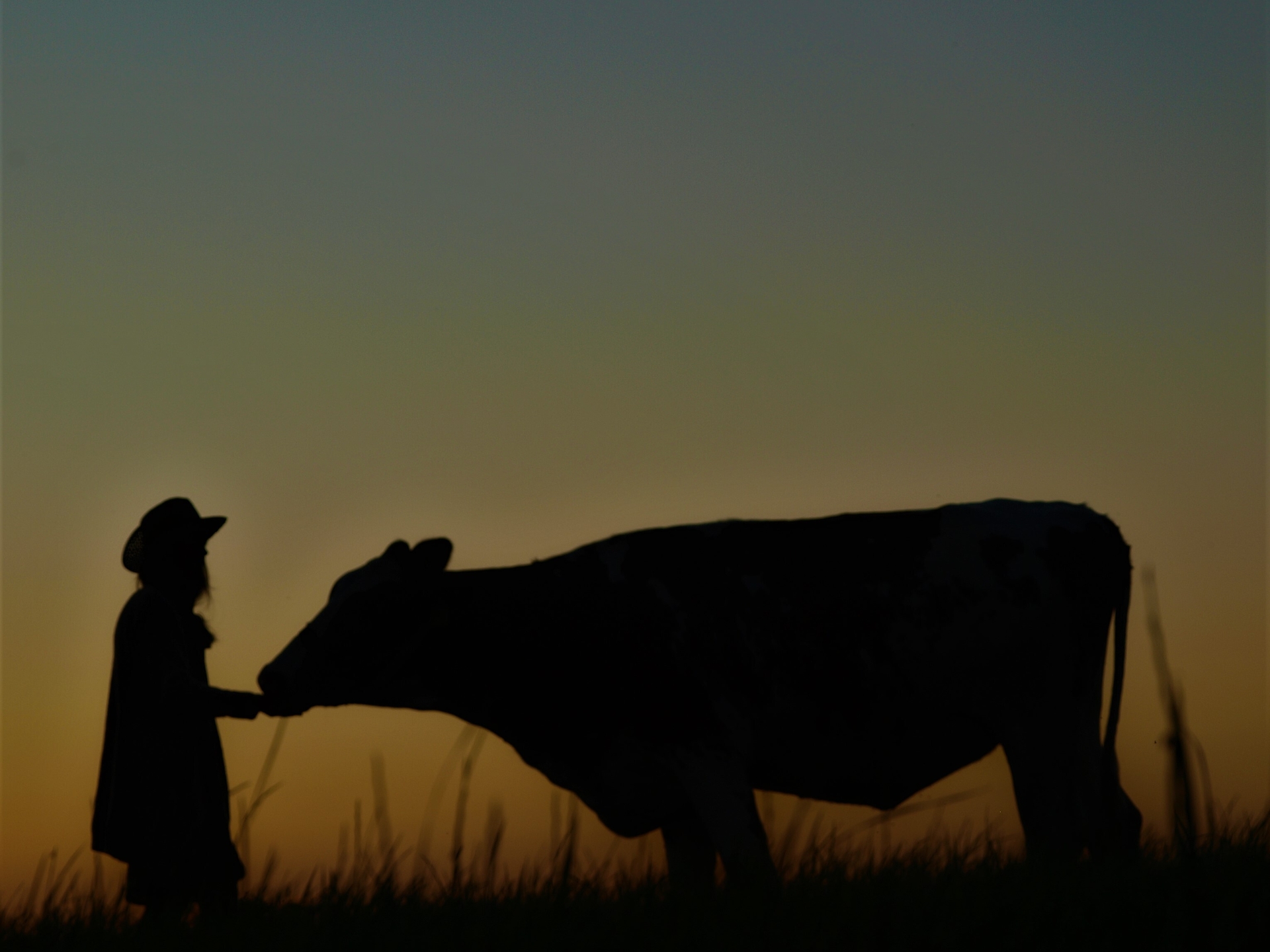 Foto der Galerie: Galerie