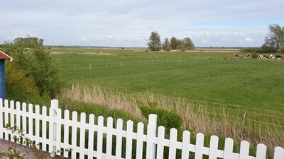 Foto: Gartenausblick (Bild vergrößern)