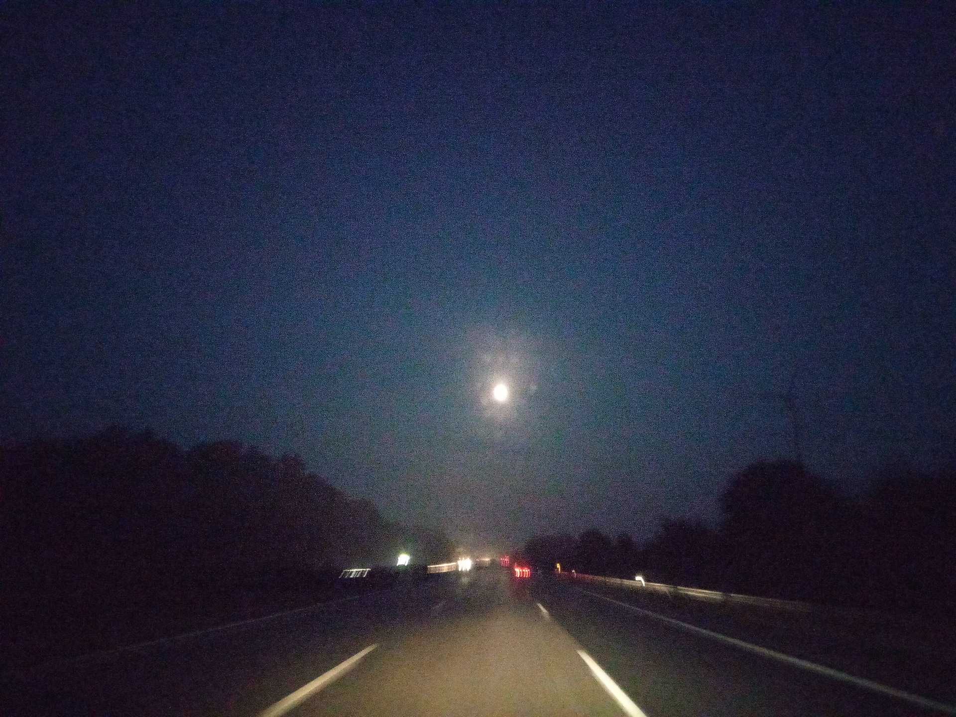 Foto der Galerie: Muffeljagd in Caceres - Spanien