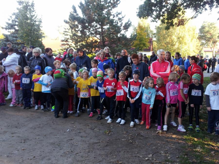 Foto der Galerie: Leichtathletik 2013