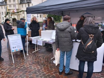 Vorschaubild: Weltdiabetestag