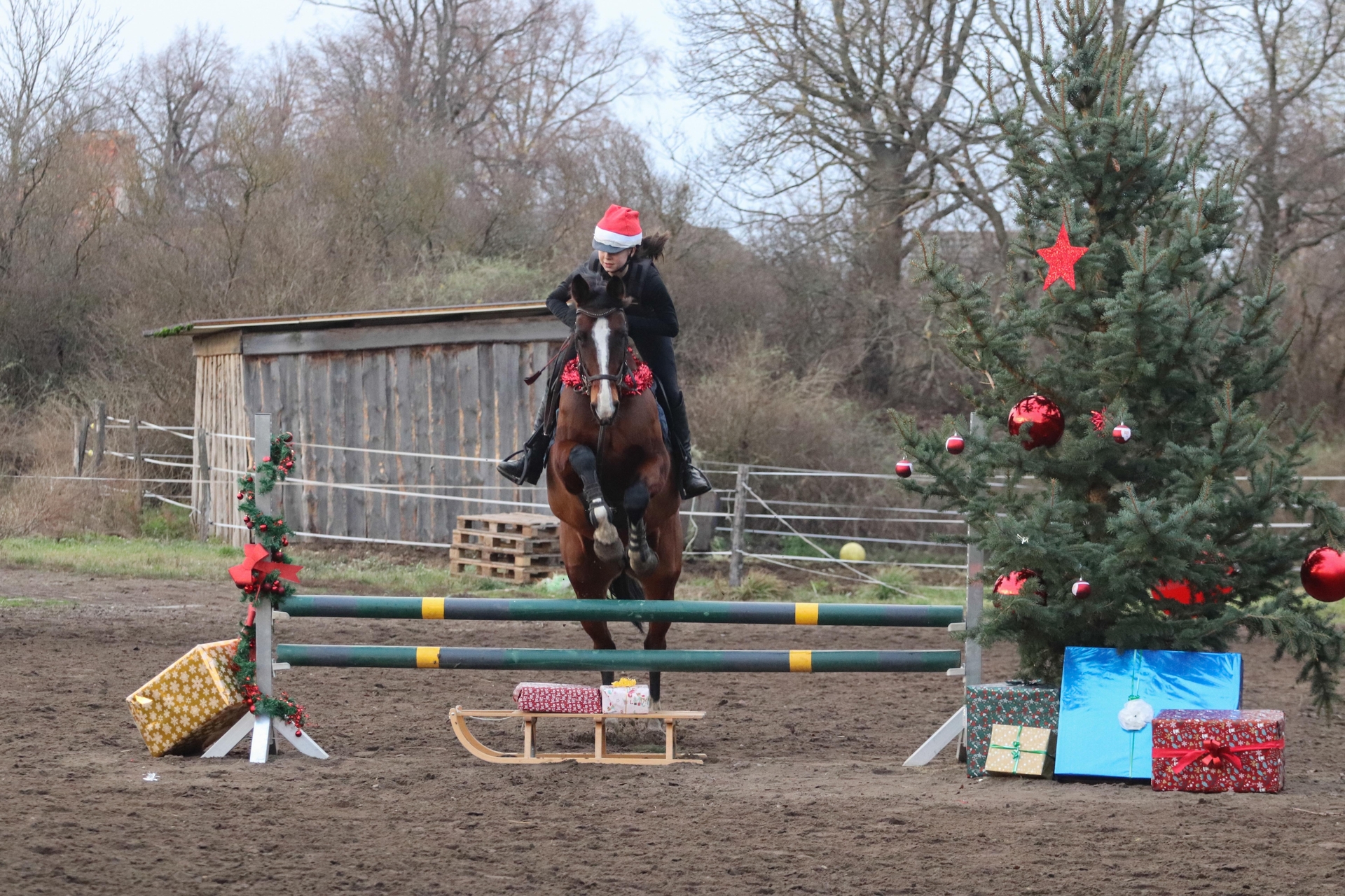 Foto der Galerie: Weihnachts-Springtraining