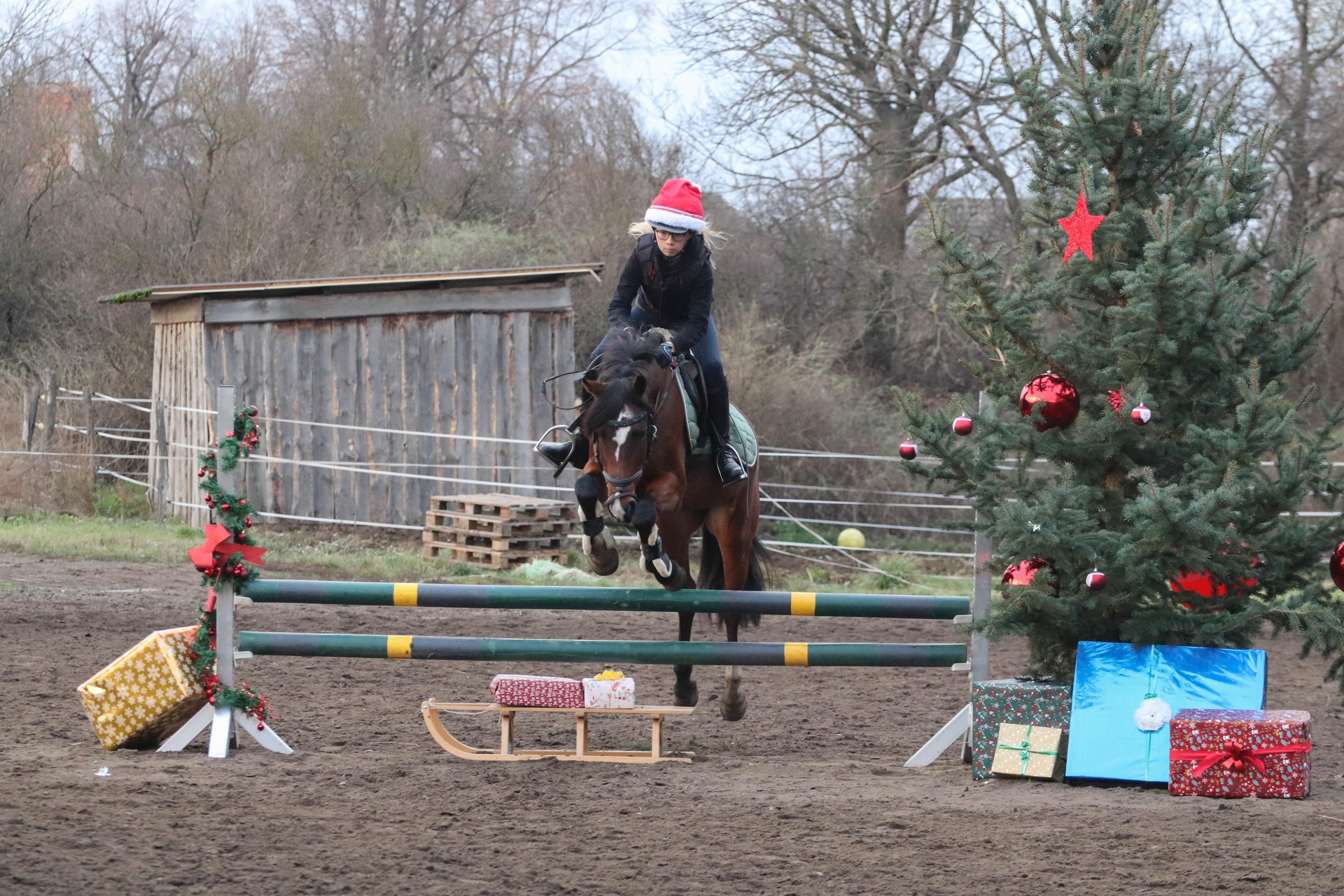 Foto der Galerie: Weihnachts-Springtraining