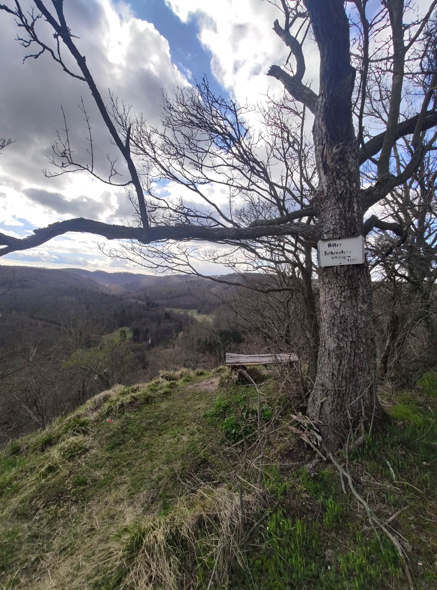 Bild: Alte Burg Falkenstein B1