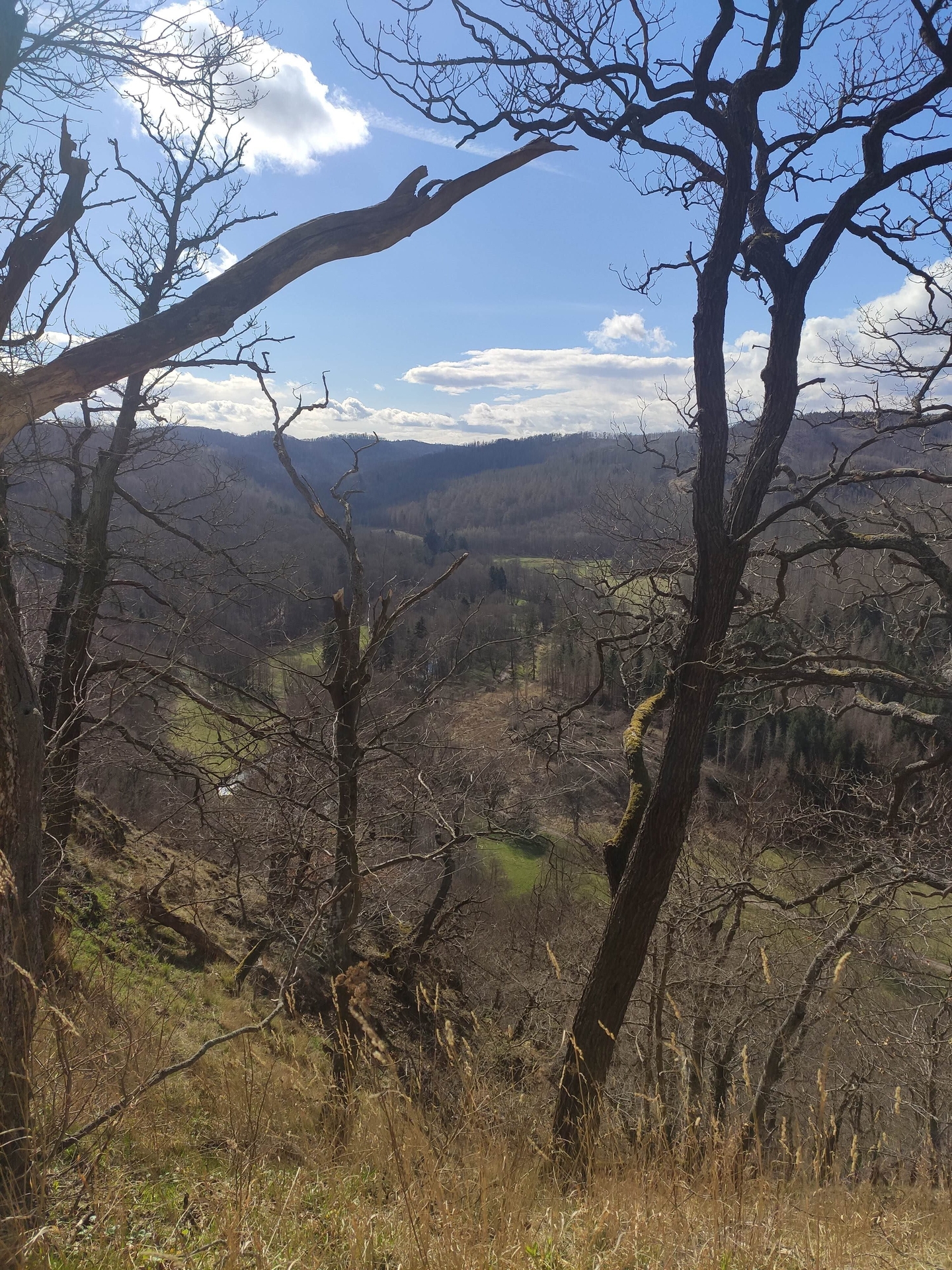 Bild: Alte Burg Falkenstein B3