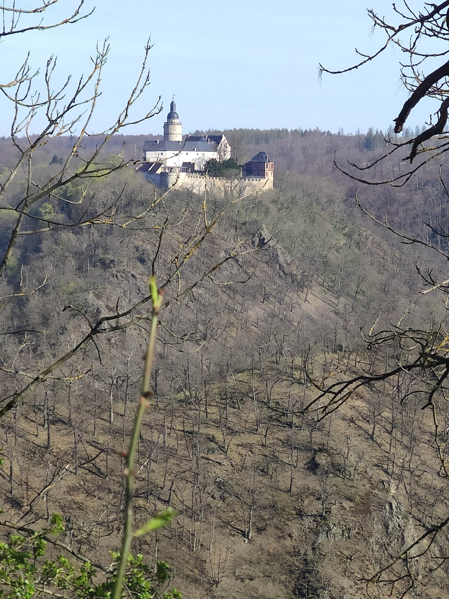 Bild: Burg Falkenstein Bild6