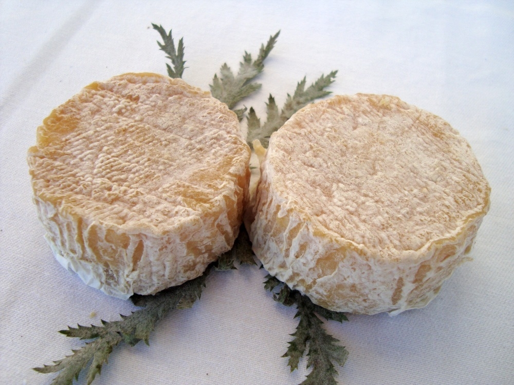 Foto der Galerie: Lebhaft & Italienisch