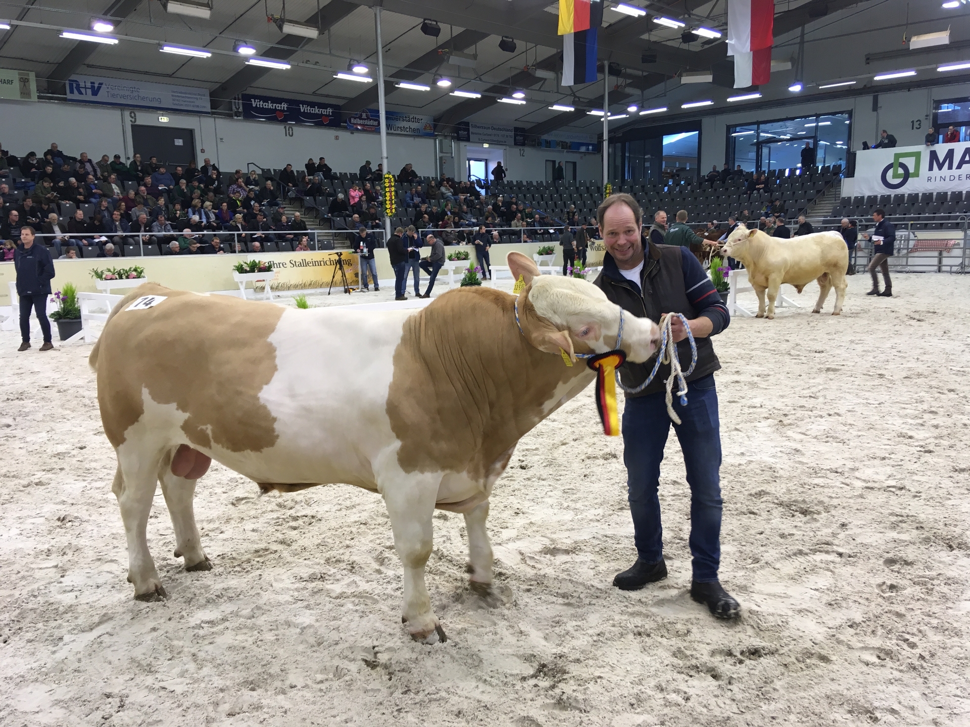 Foto der Galerie: Verden 2019
