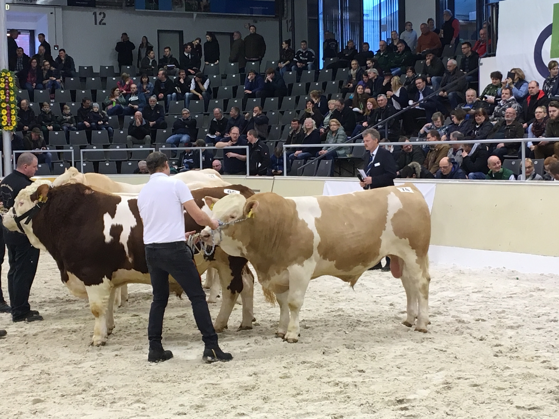Foto der Galerie: Verden 2019