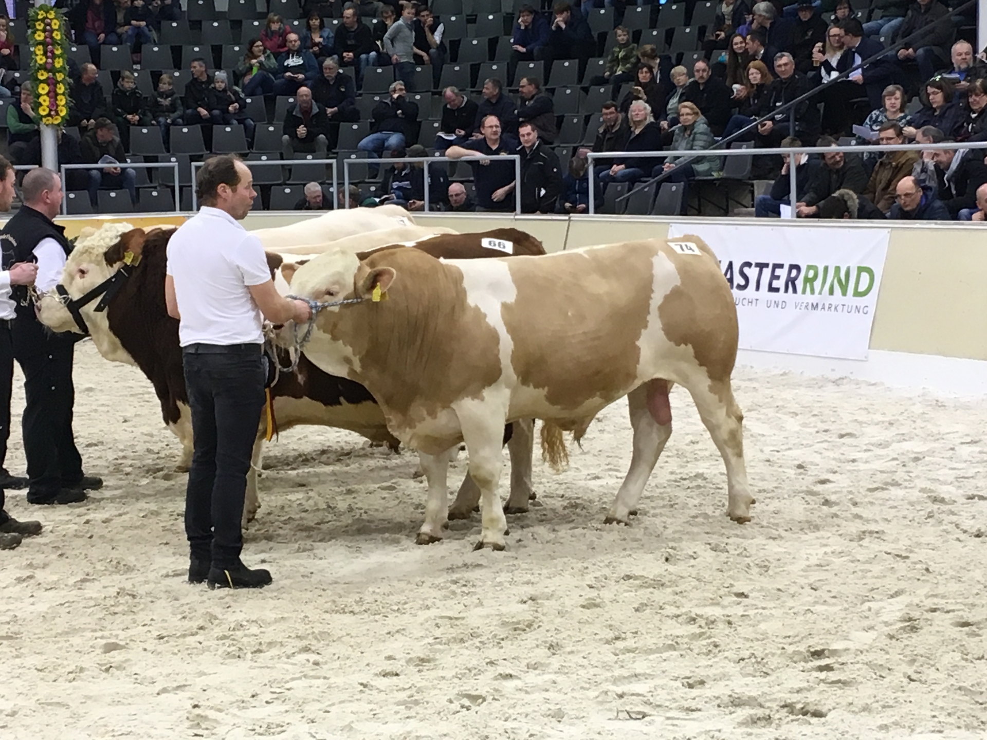 Foto der Galerie: Verden 2019
