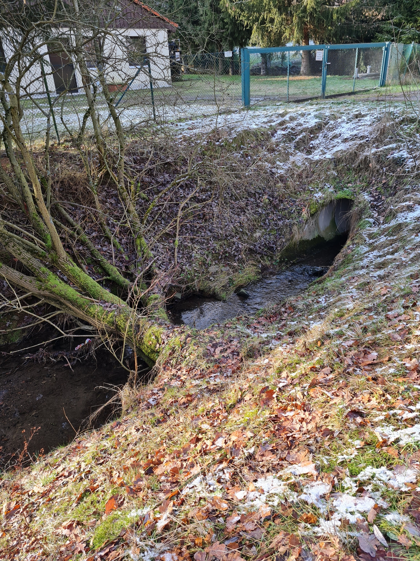 Bild: Beseitigung eines Abflusshindernisses südlich der Ortslage Schwenda ...