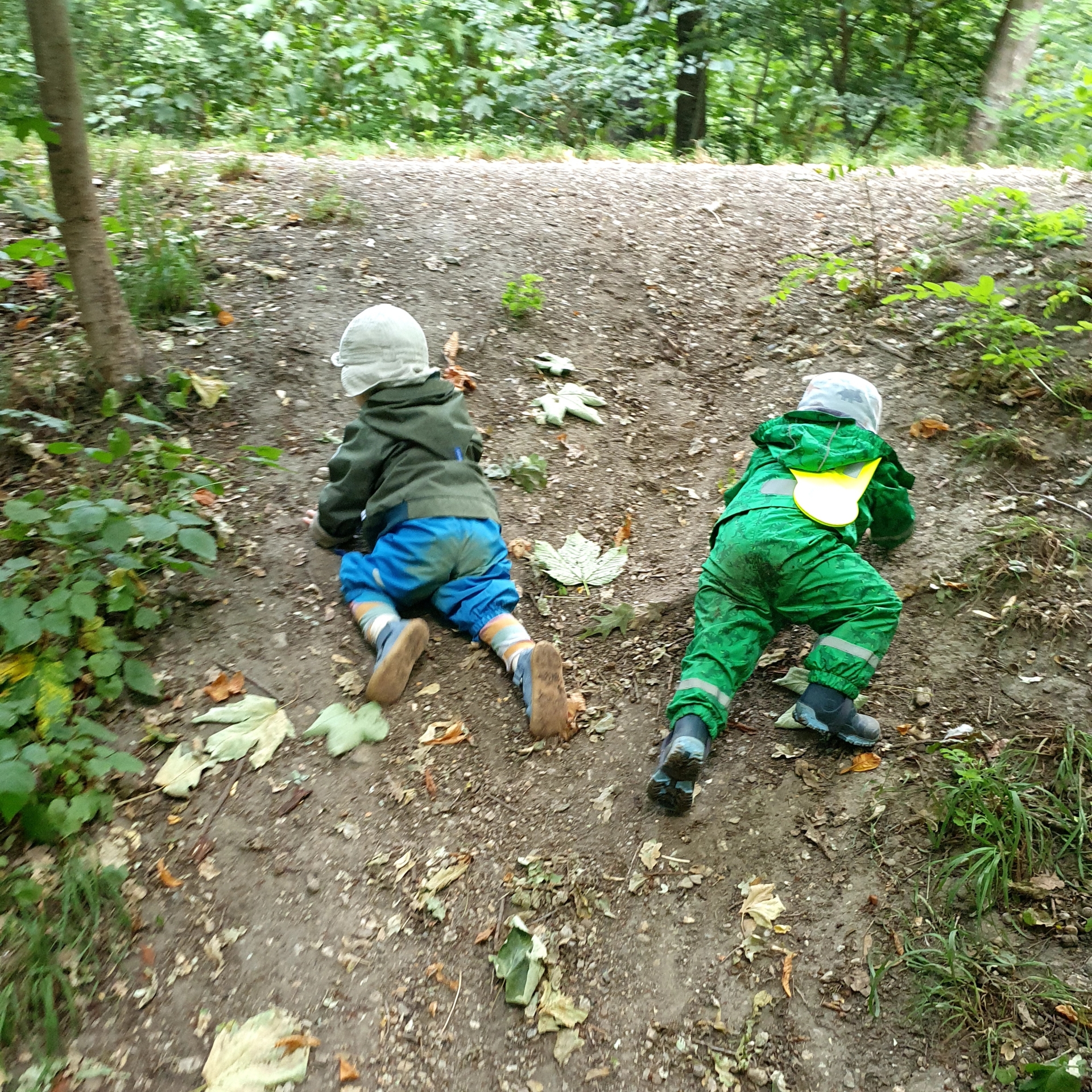 Unterwegs  (Bild vergr&ouml;&szlig;ern)