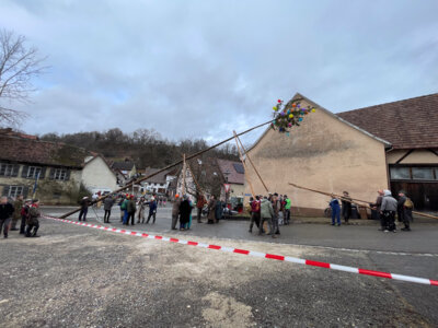 Vorschaubild der Galerie