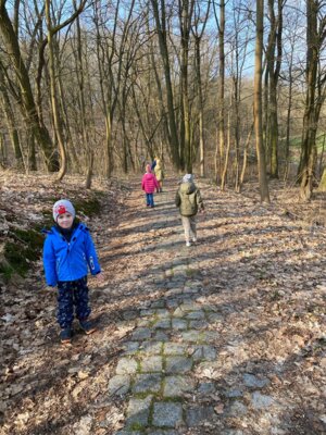 Vorschaubild: Beim Spaziergang