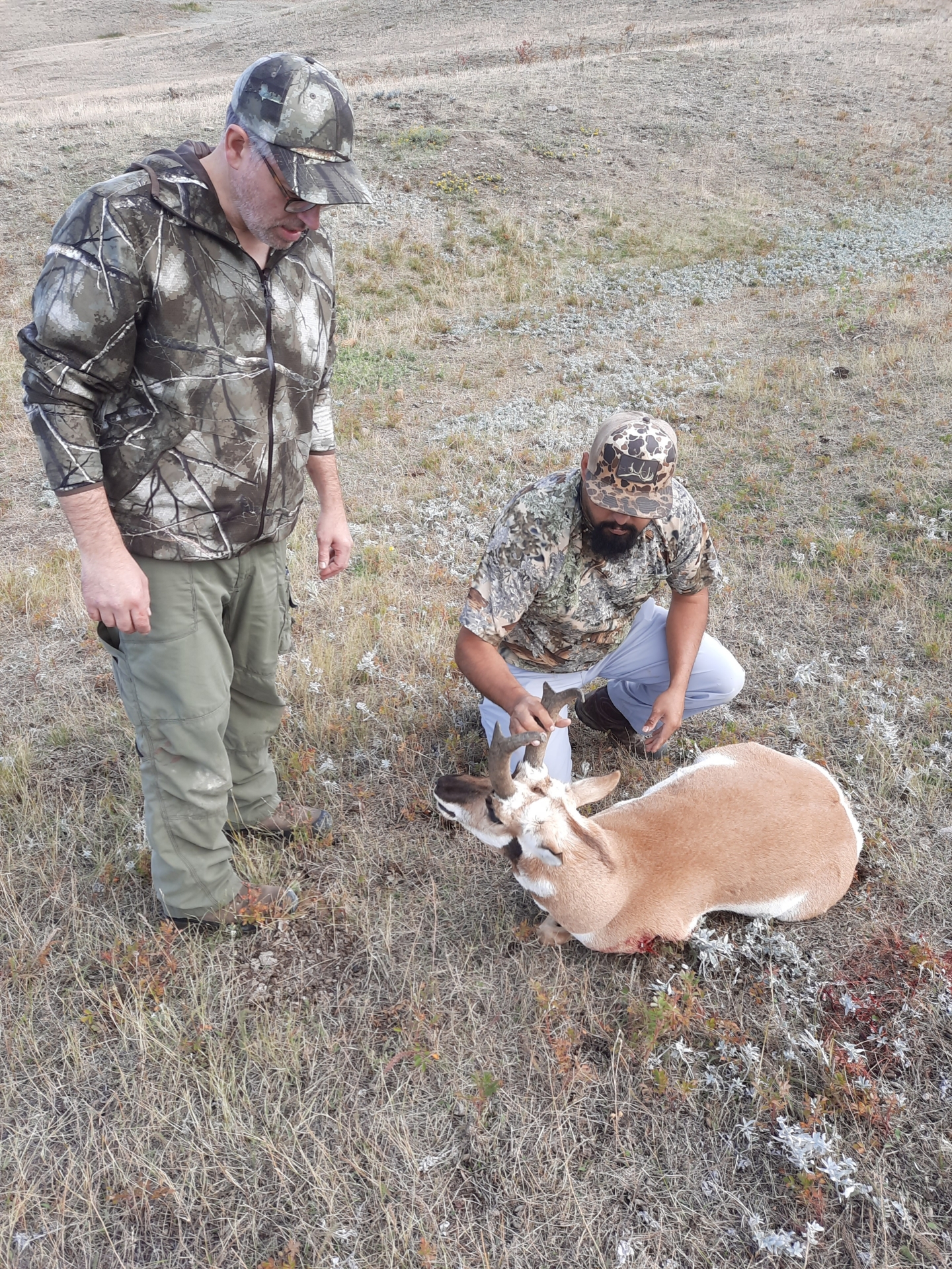 Foto der Galerie: Pronghornjagd - Montana - USA