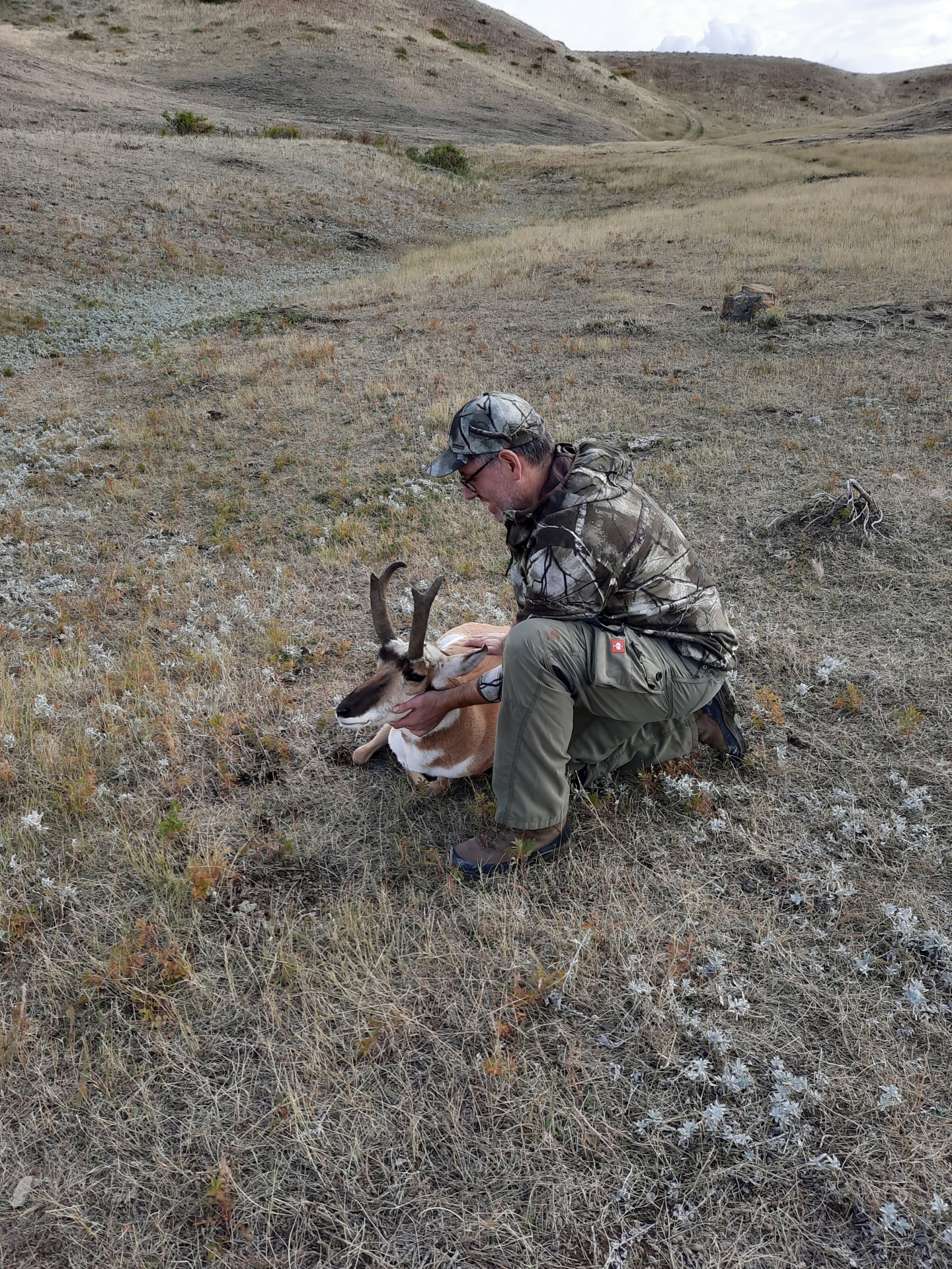 Foto der Galerie: Pronghornjagd - Montana - USA