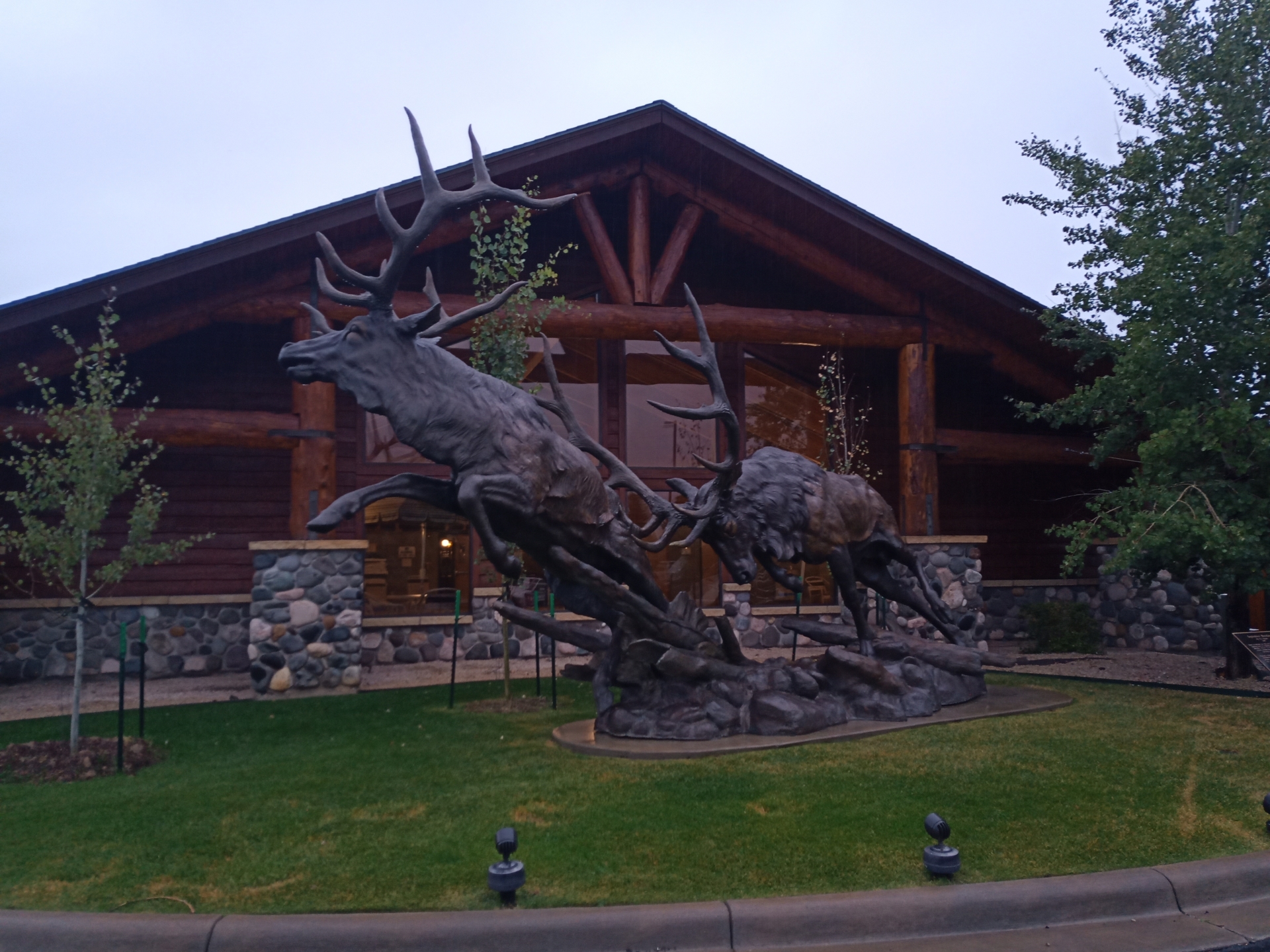 Foto der Galerie: Pronghornjagd - Montana - USA