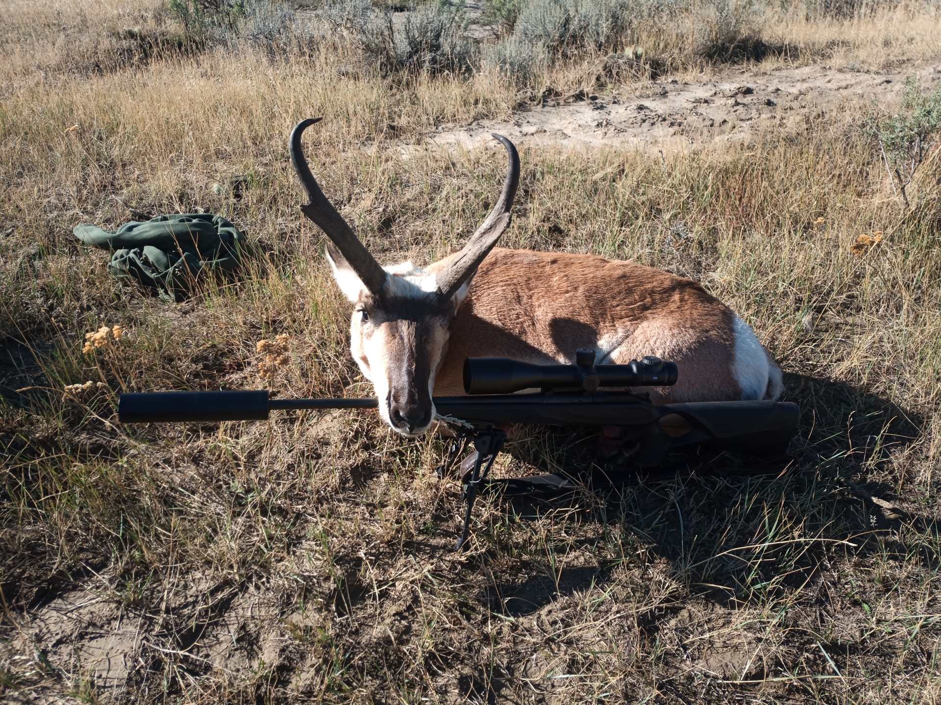 IMG 20221004 100640  (Bild vergr&ouml;&szlig;ern)