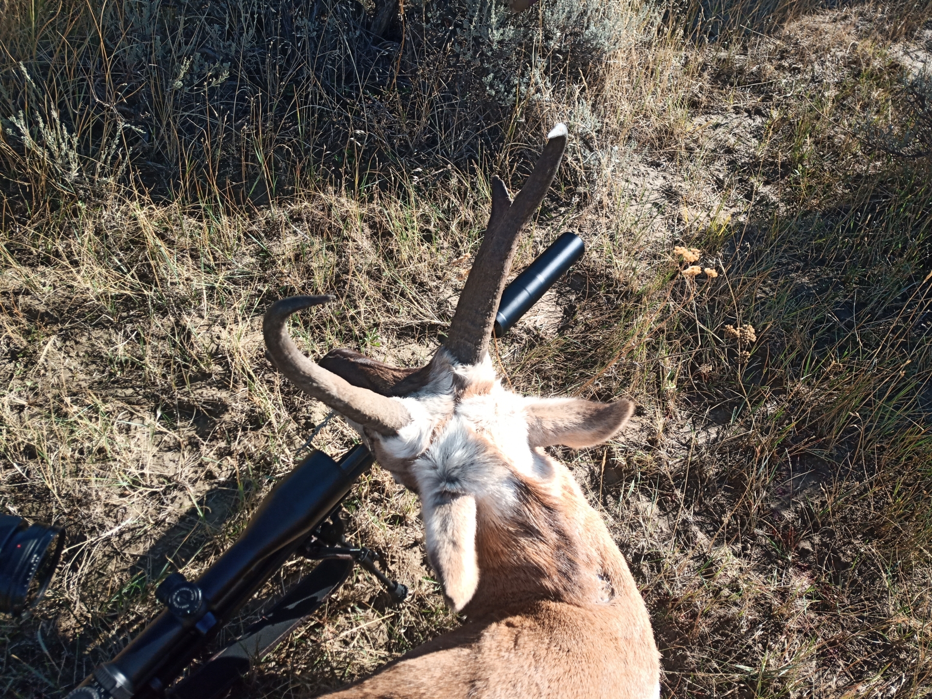 IMG 20221004 100707  (Bild vergr&ouml;&szlig;ern)