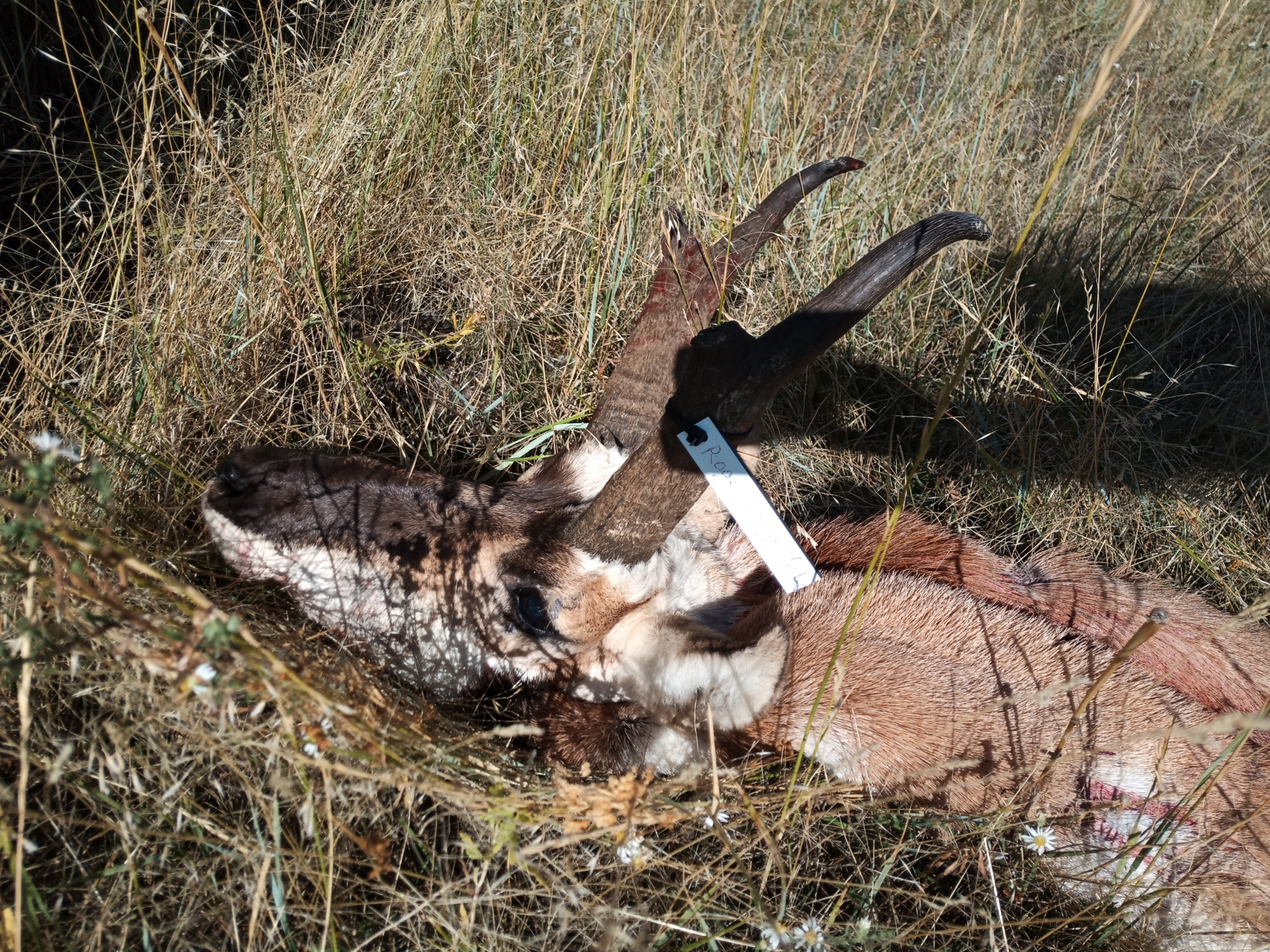 IMG 20221004 104909  (Bild vergr&ouml;&szlig;ern)