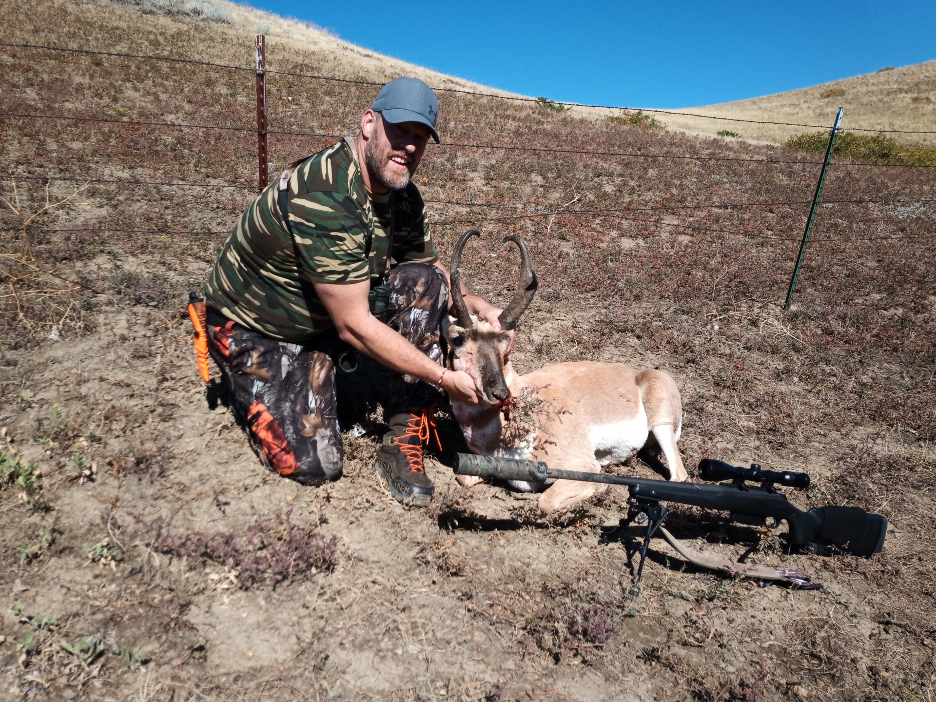 Foto der Galerie: Pronghornjagd - Montana - USA