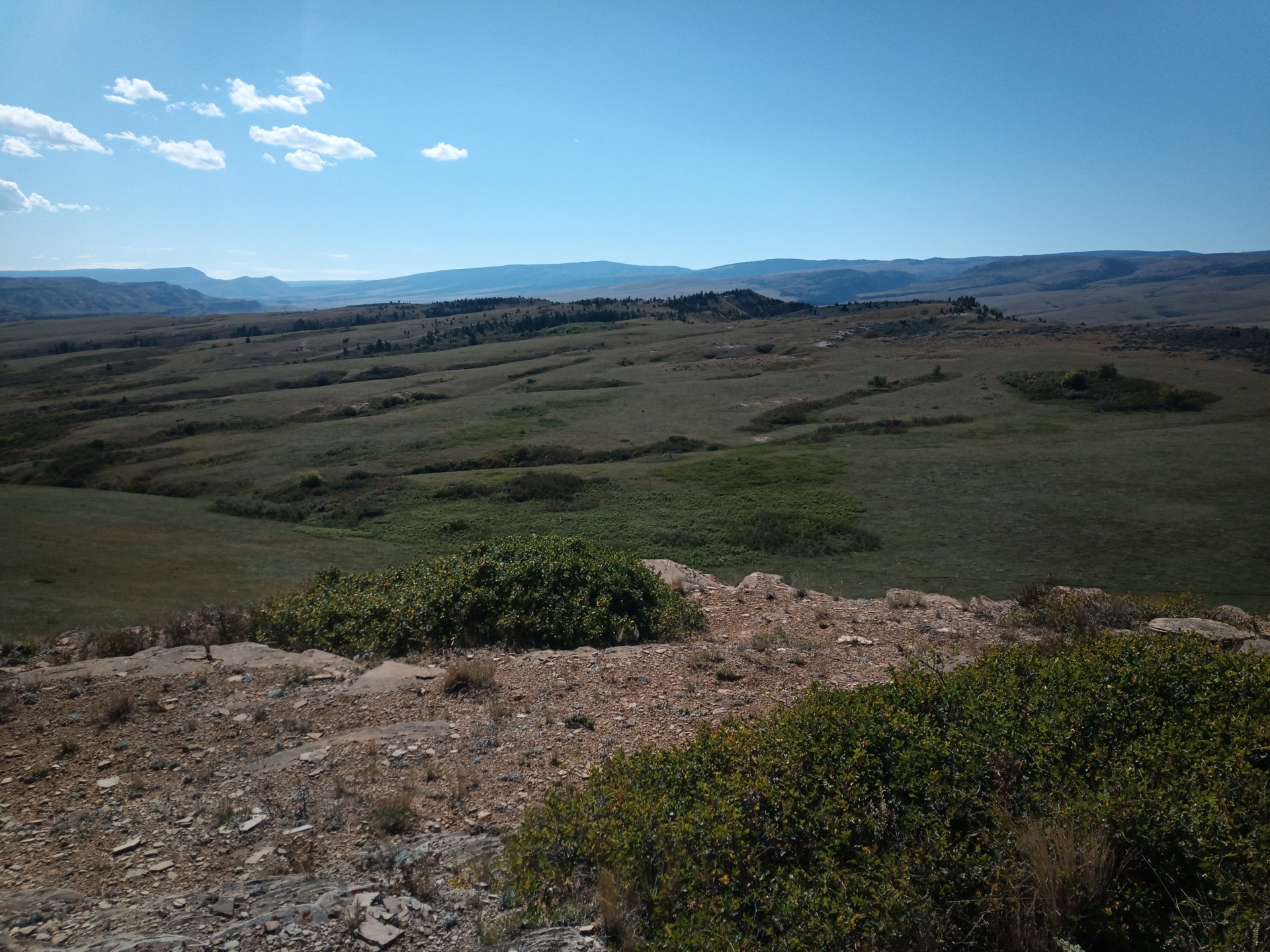 Foto der Galerie: Pronghornjagd - Montana - USA