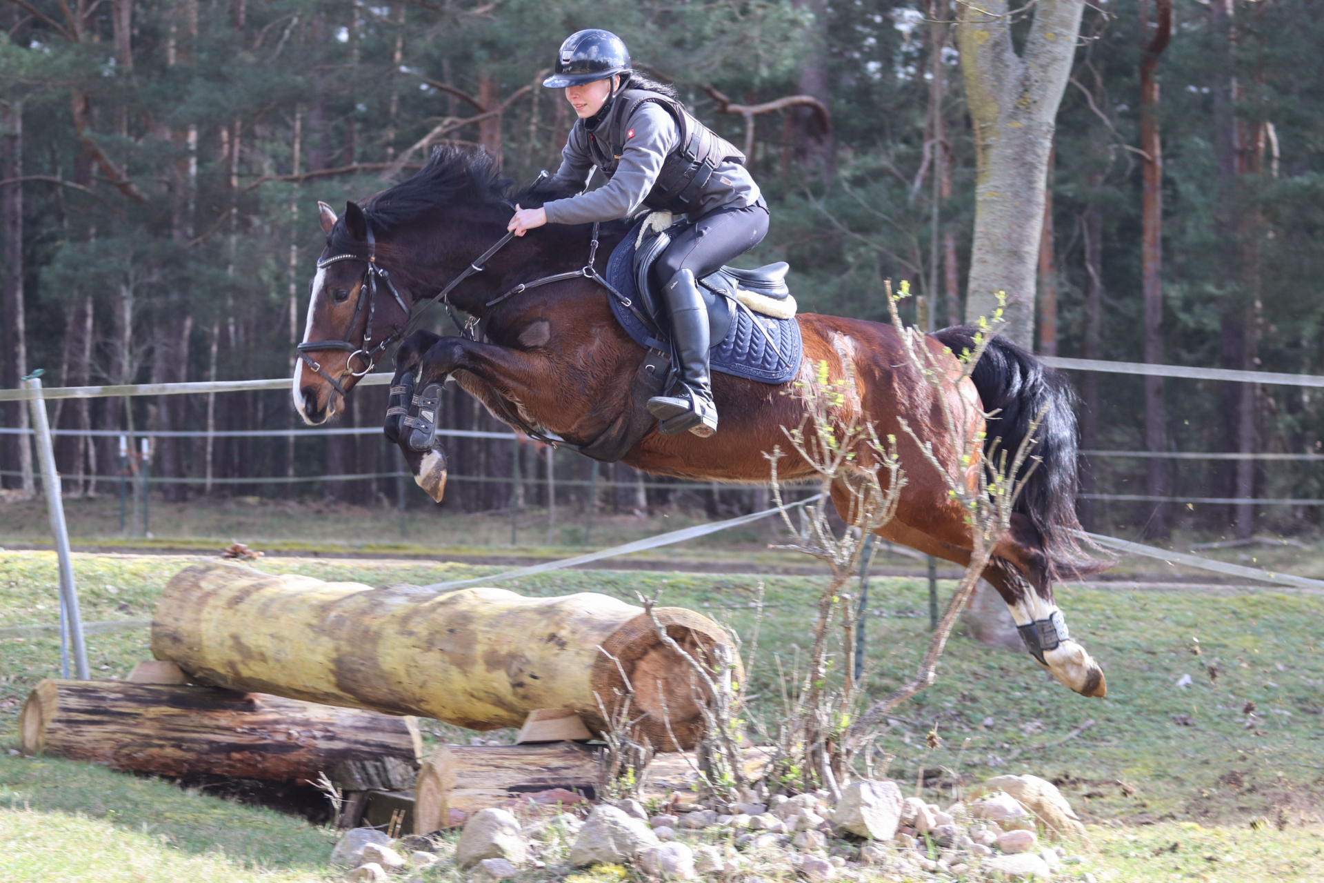 Zur Galerie: Geländetraining