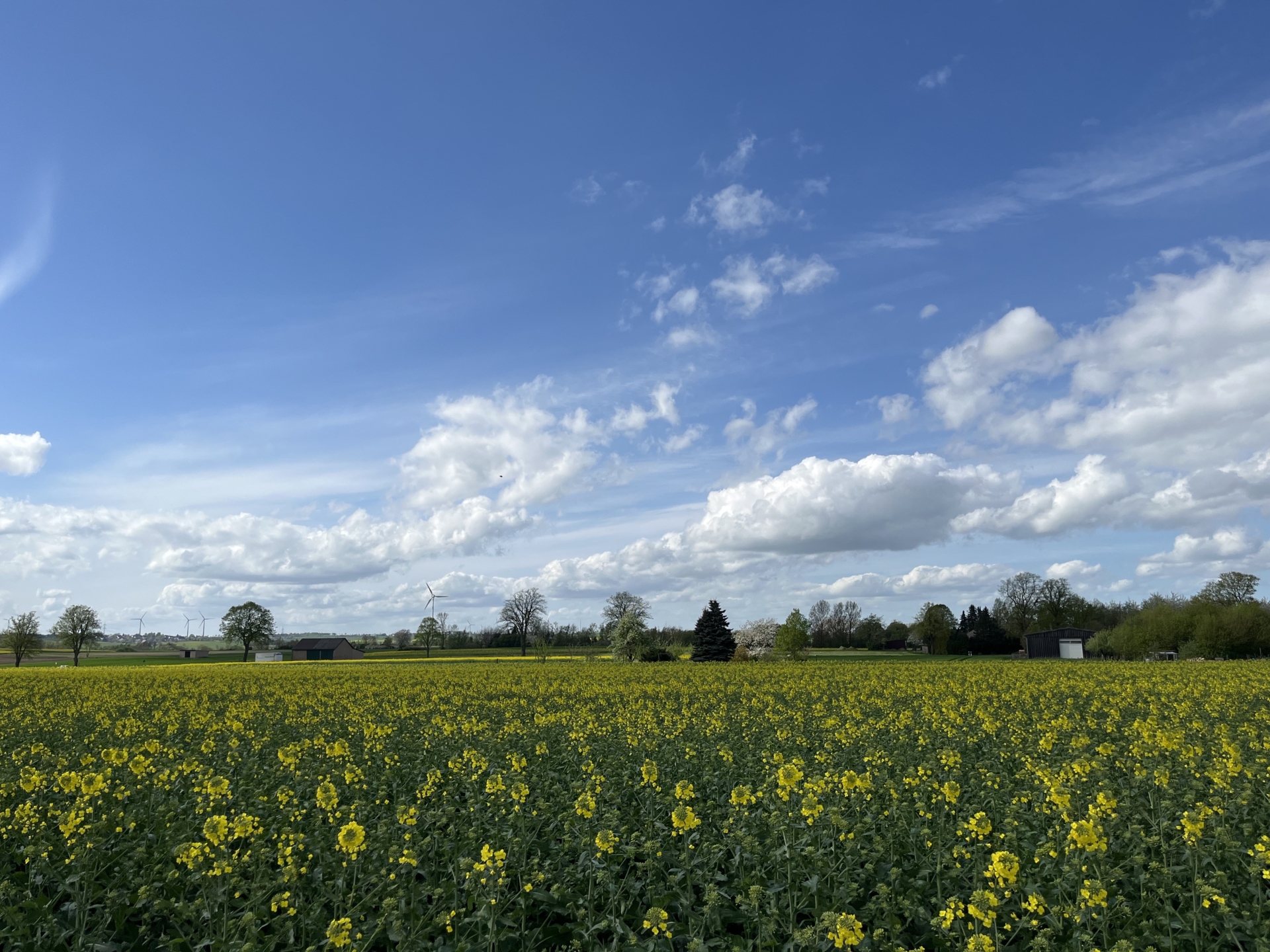 Ottensteiner Hochebene  (Bild vergr&ouml;&szlig;ern)
