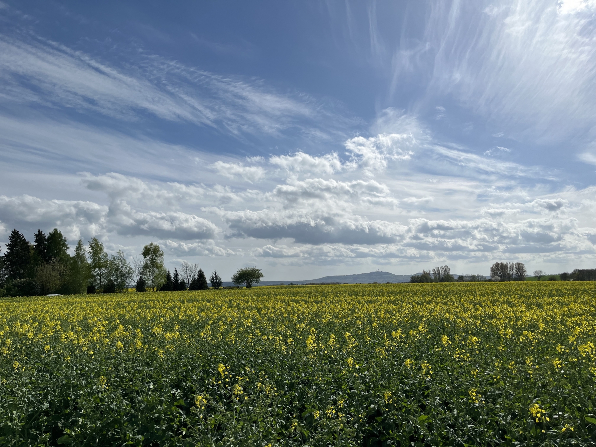 Ottensteiner Hochebene  (Bild vergr&ouml;&szlig;ern)
