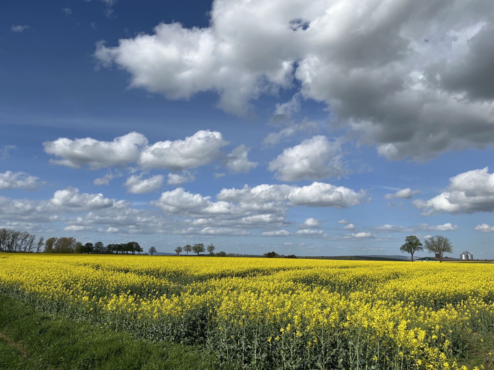 Ottensteiner Hochebene  (Bild vergr&ouml;&szlig;ern)