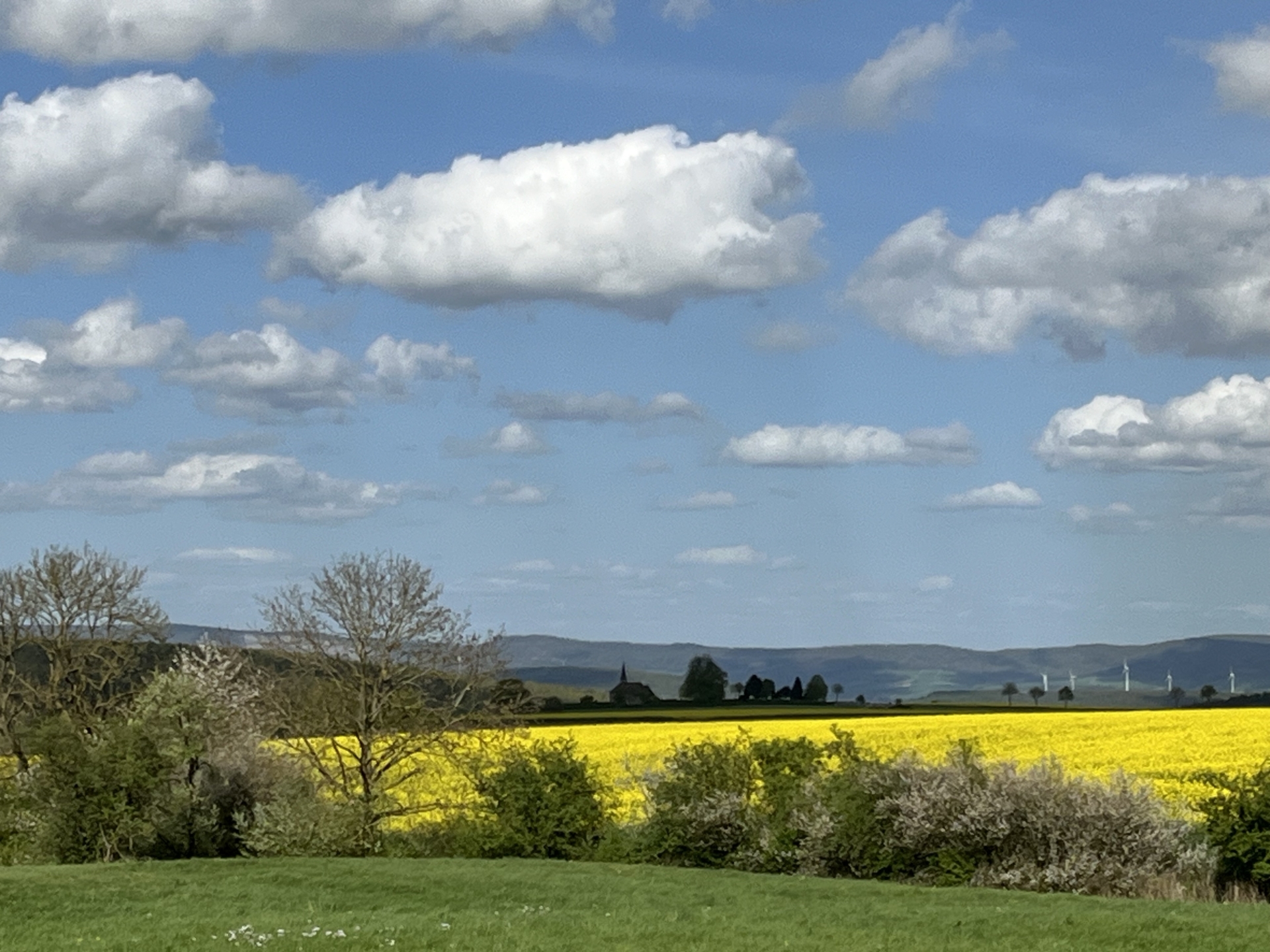 Ottensteiner Hochebene  (Bild vergr&ouml;&szlig;ern)