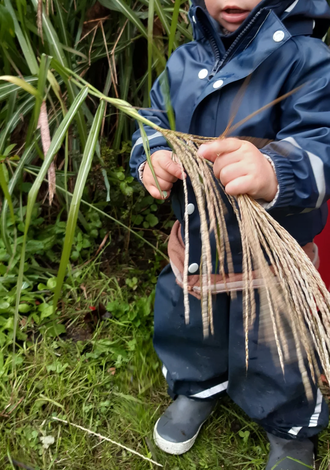 Foto der Galerie: Freilandpädagogischer Ansatz