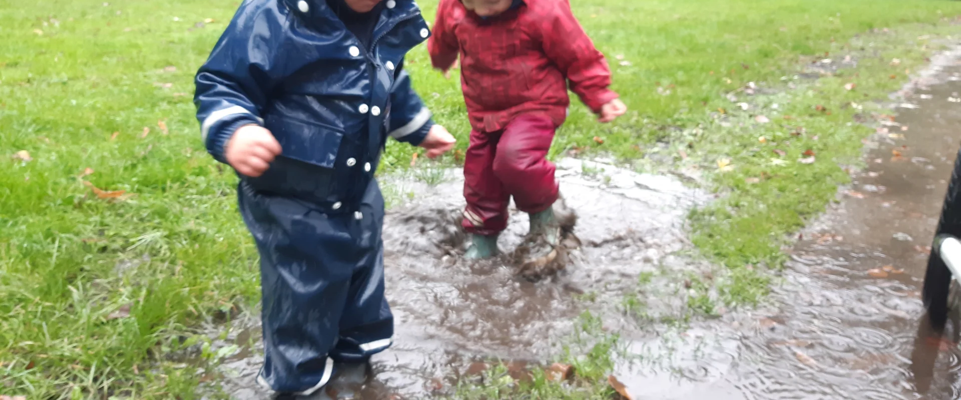 Foto der Galerie: Freilandpädagogischer Ansatz