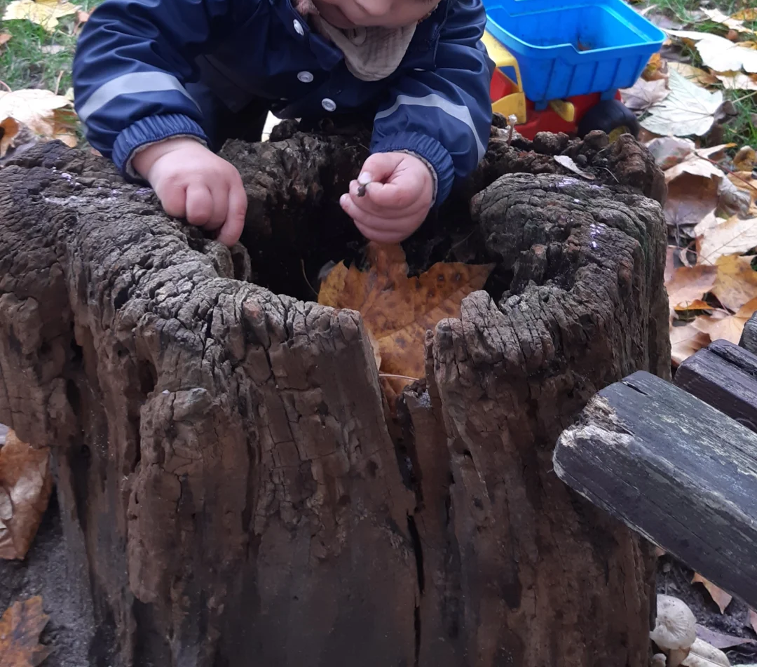 Foto der Galerie: Freilandpädagogischer Ansatz