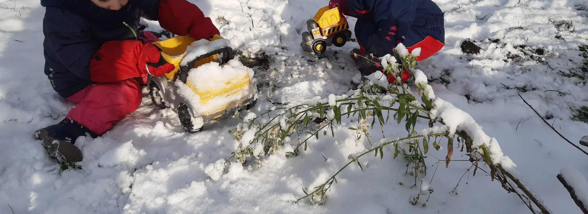 Foto der Galerie: Freilandpädagogischer Ansatz