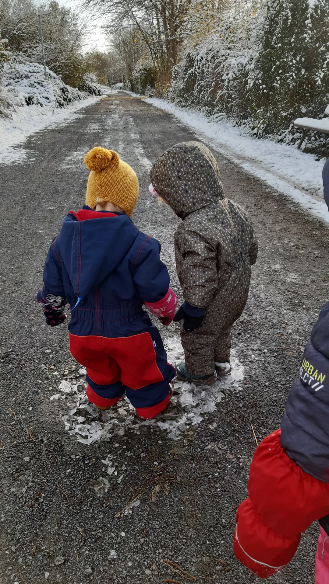 Foto der Galerie: Freilandpädagogischer Ansatz