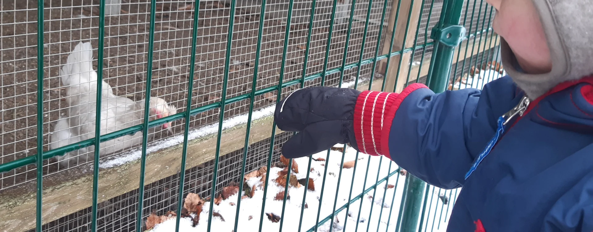 Foto der Galerie: Freilandpädagogischer Ansatz