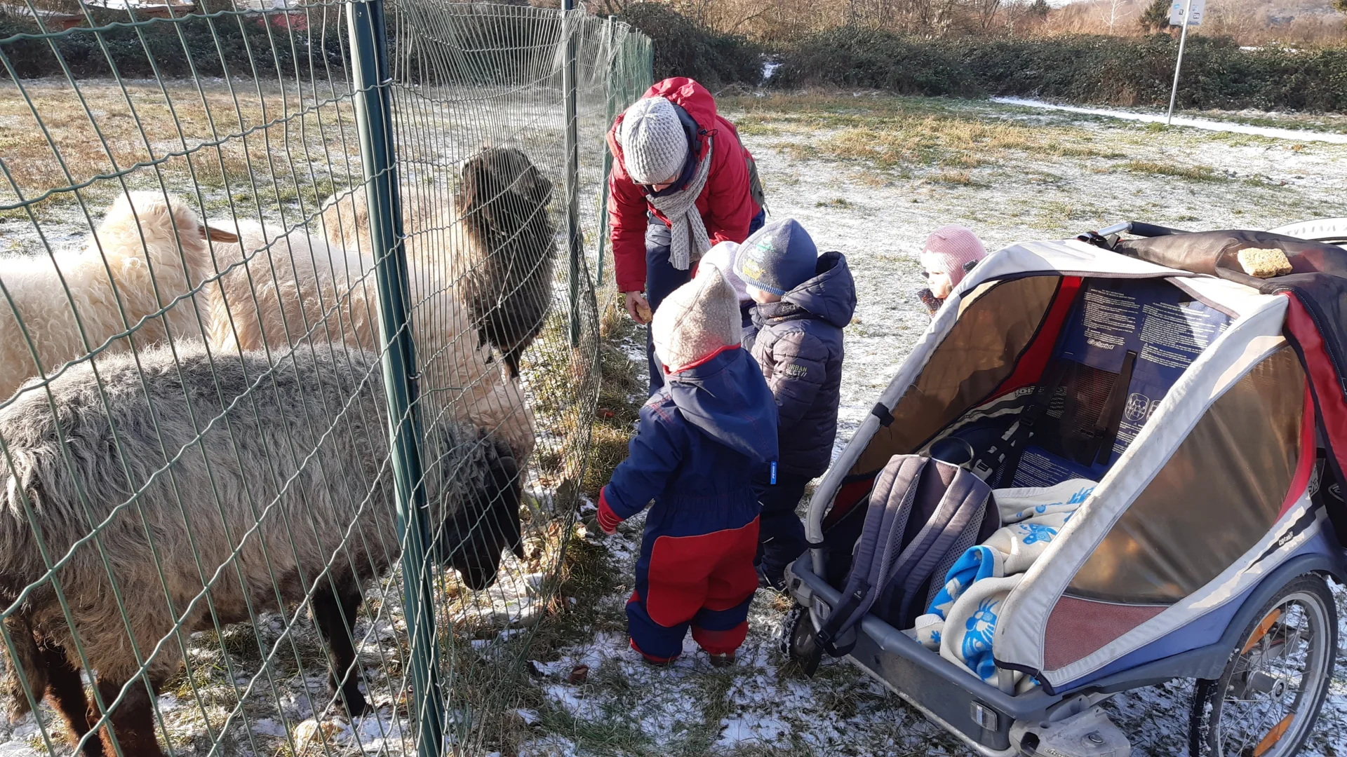 Foto der Galerie: Freilandpädagogischer Ansatz