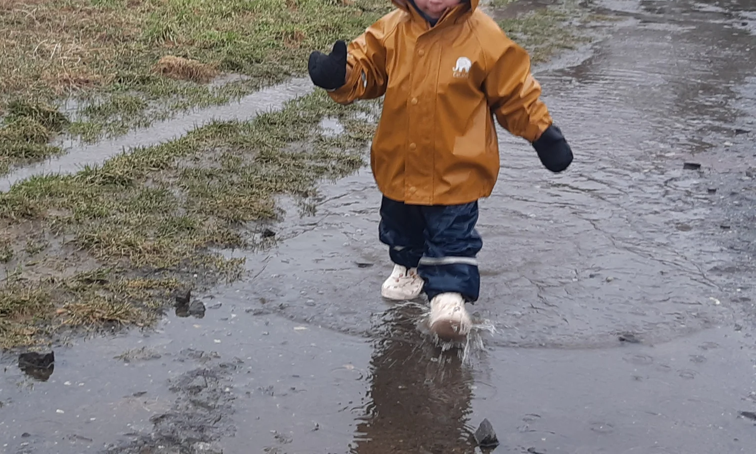 Foto der Galerie: Freilandpädagogischer Ansatz