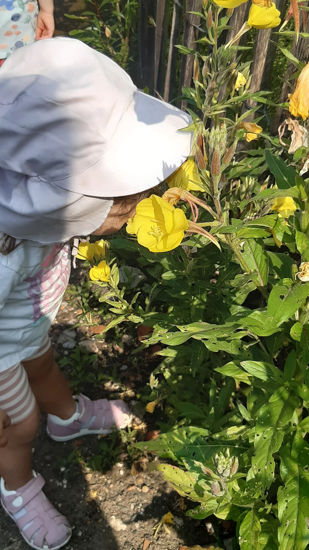 Foto der Galerie: Freilandpädagogischer Ansatz