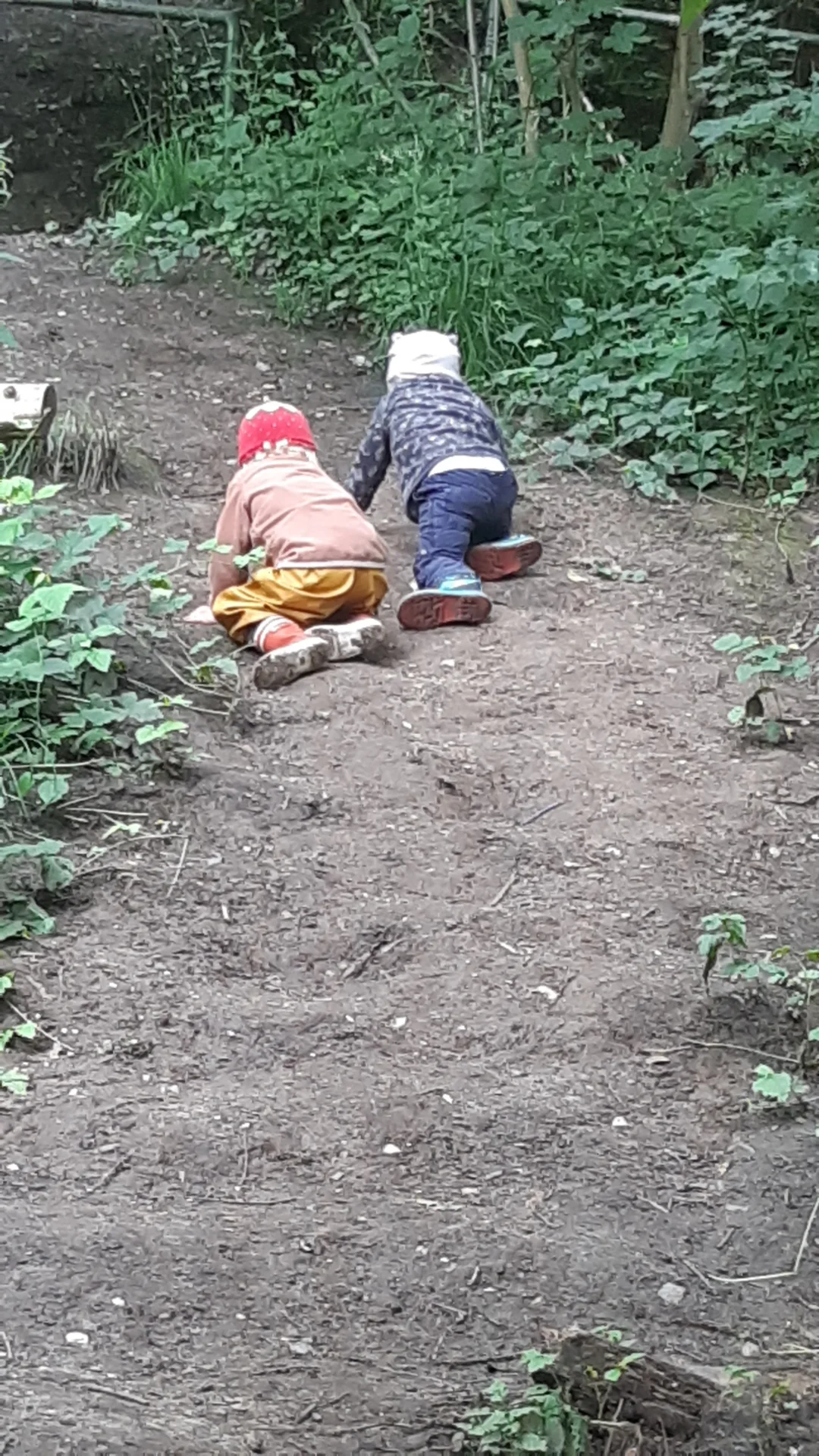 Foto der Galerie: Freilandpädagogischer Ansatz