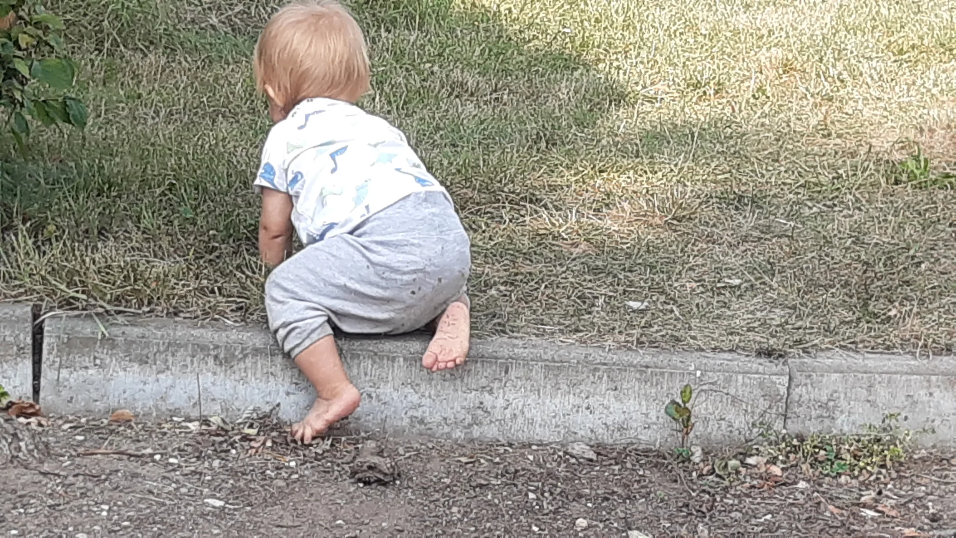 Foto der Galerie: Freilandpädagogischer Ansatz