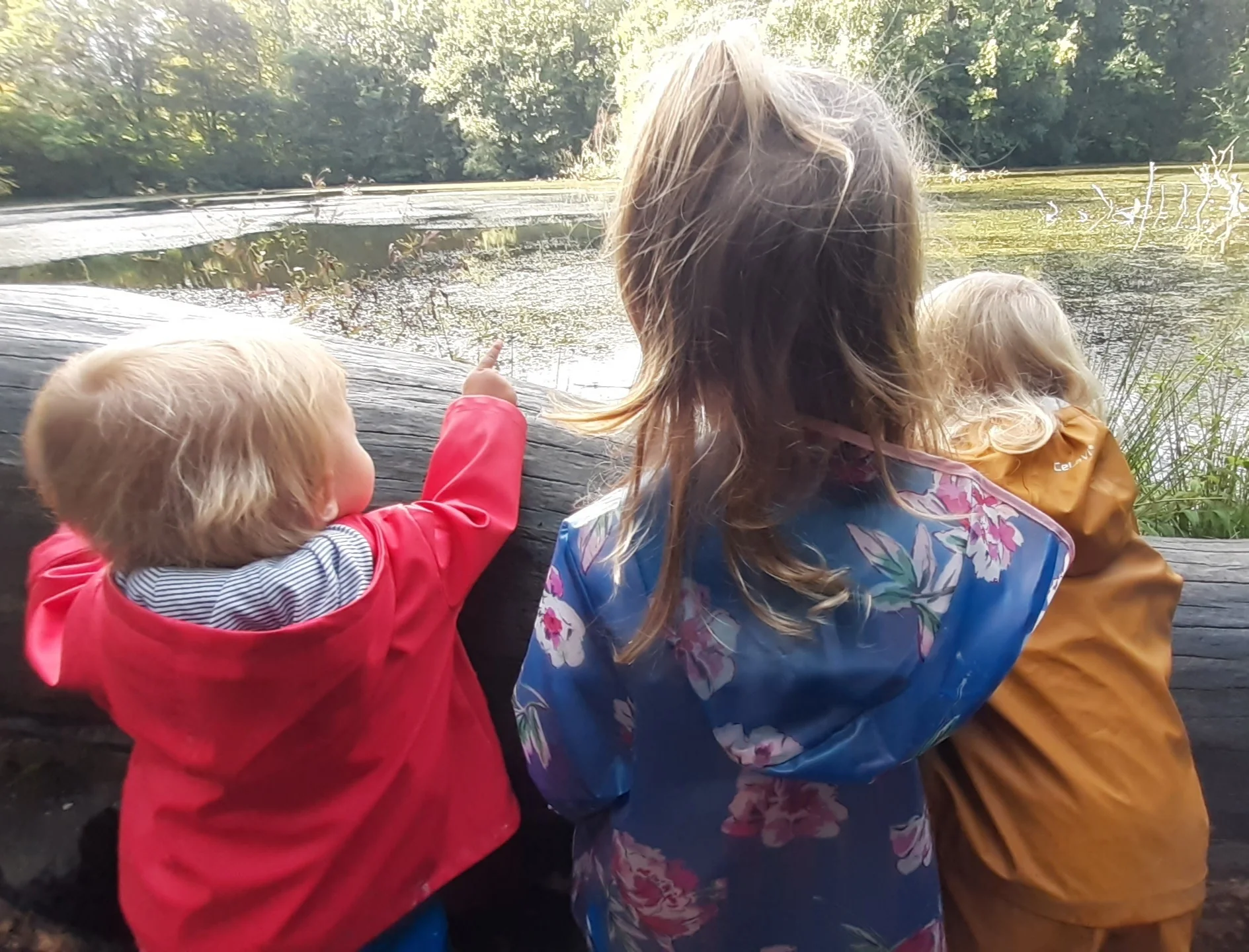 Foto der Galerie: Freilandpädagogischer Ansatz