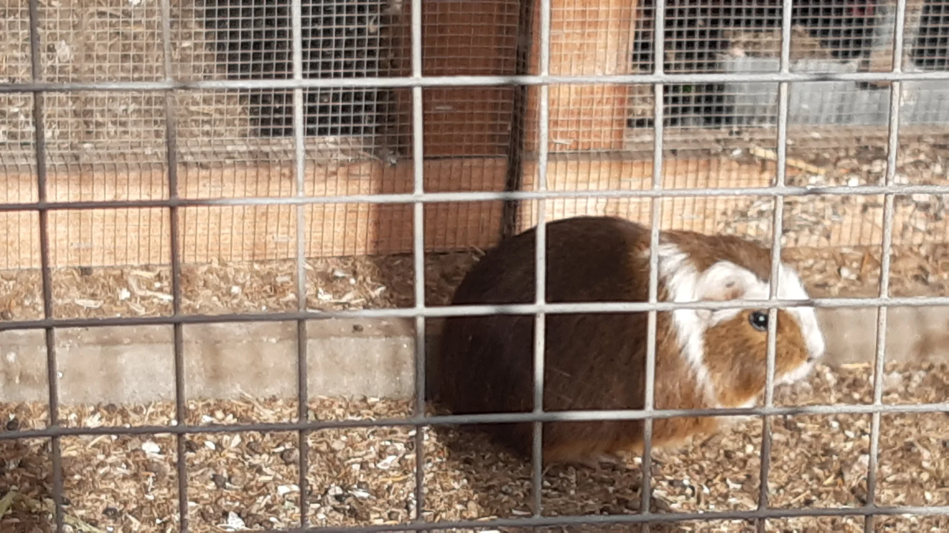 Foto der Galerie: Freilandpädagogischer Ansatz