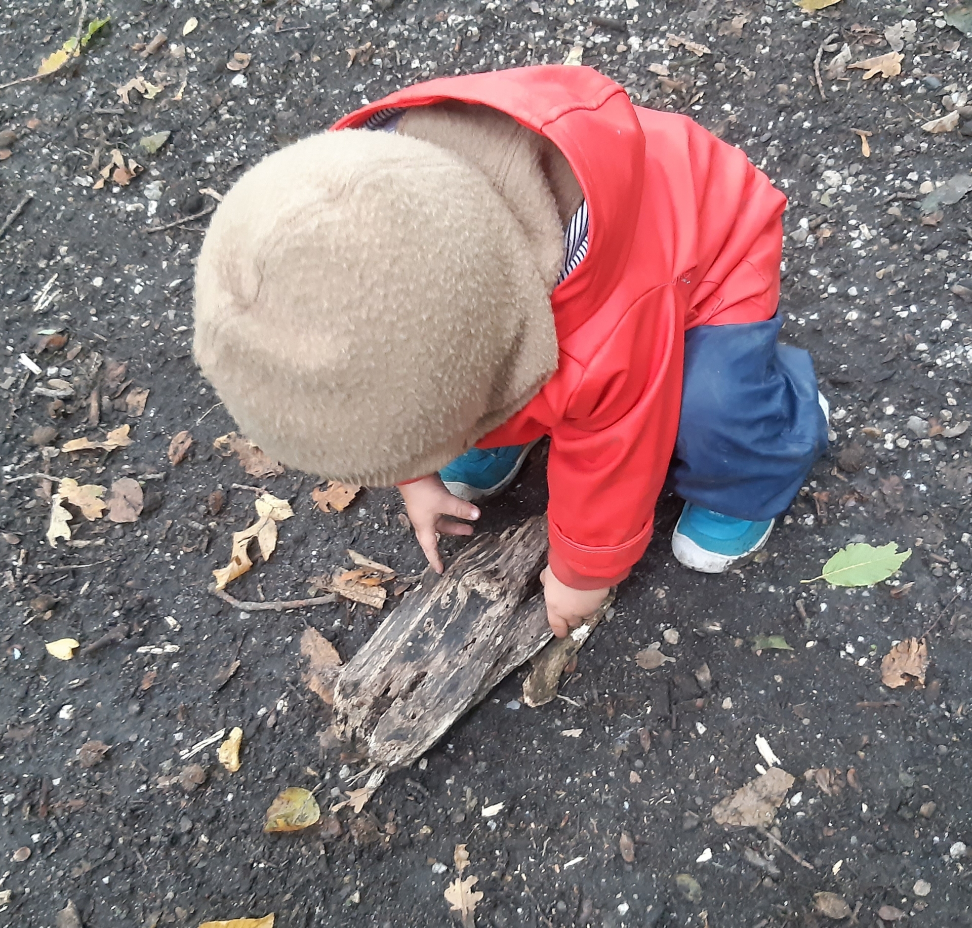 Foto der Galerie: Freilandpädagogischer Ansatz