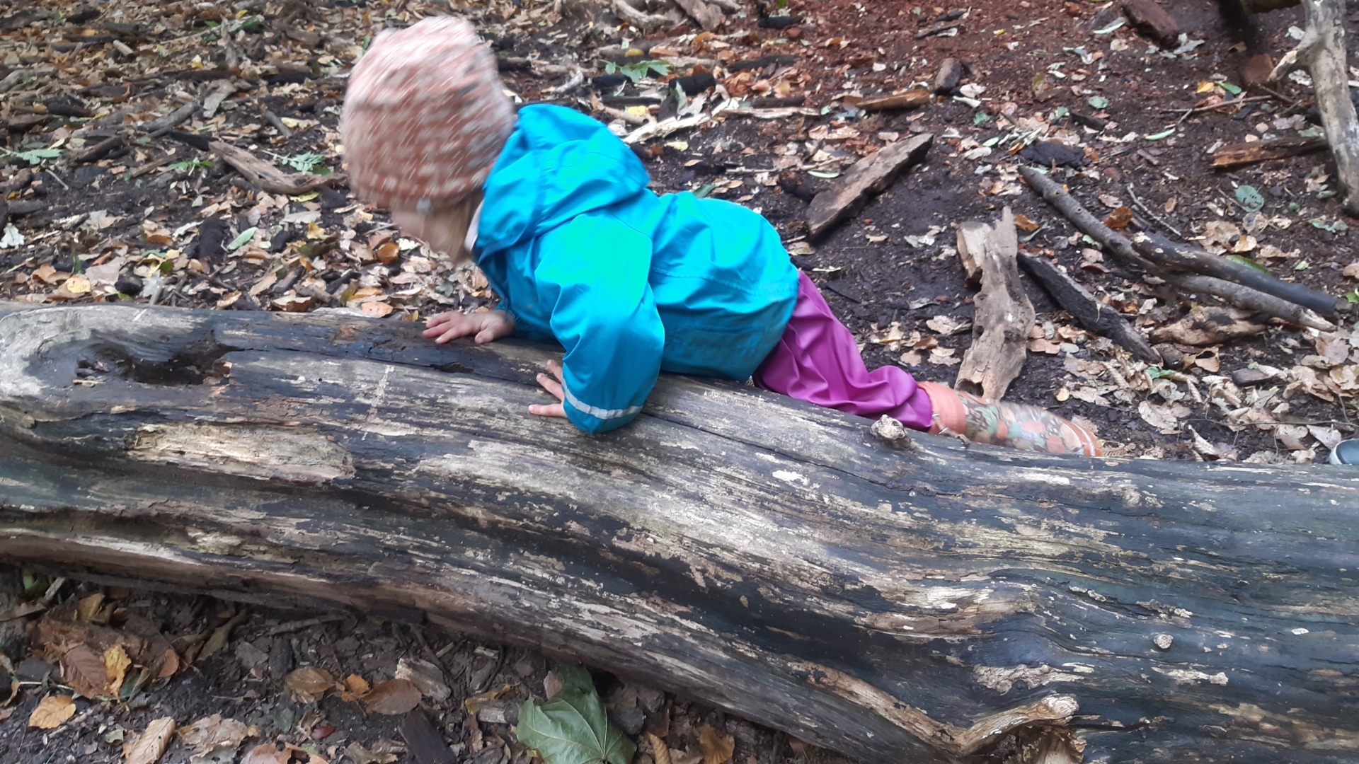 Foto der Galerie: Freilandpädagogischer Ansatz