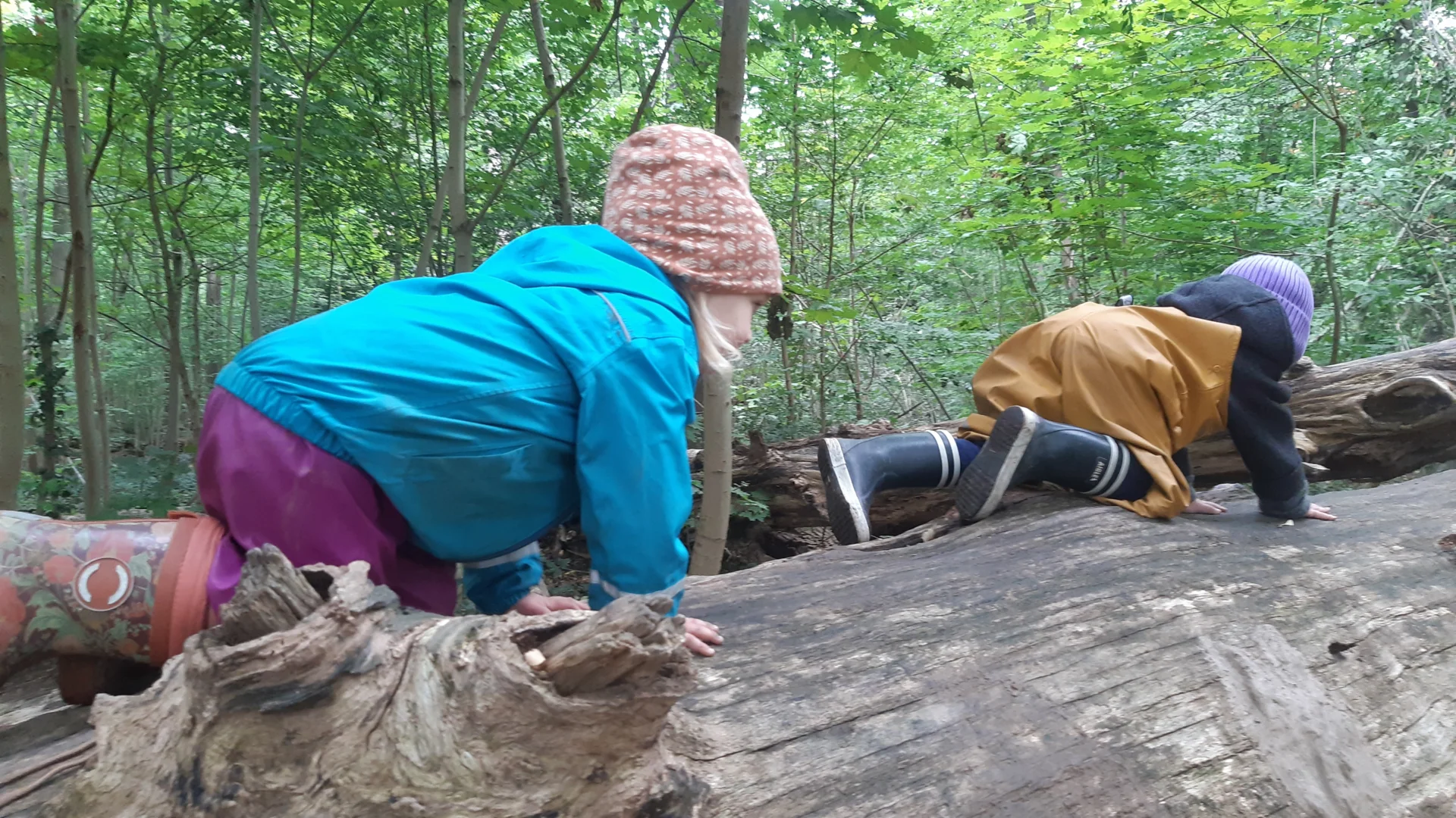 Foto der Galerie: Freilandpädagogischer Ansatz