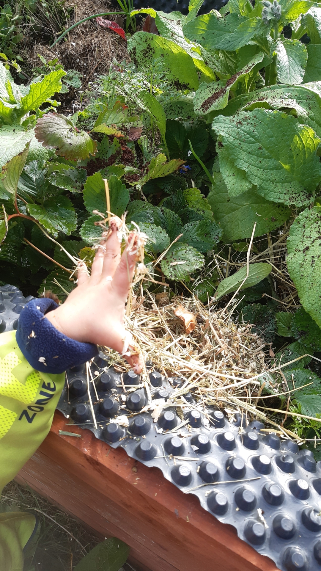 Foto der Galerie: Freilandpädagogischer Ansatz